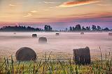 Bales In Misty Field At Sunrise_25822